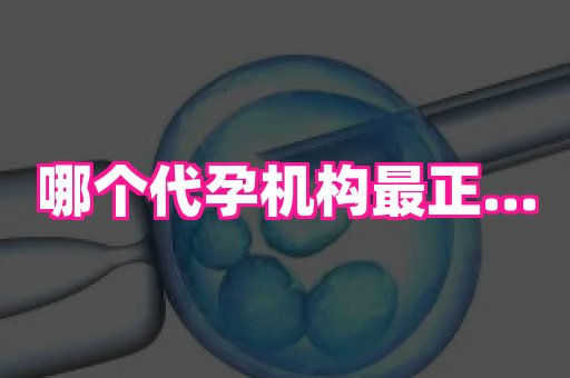 国际助孕网站 4